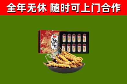 白银区回收冬虫夏草价格
